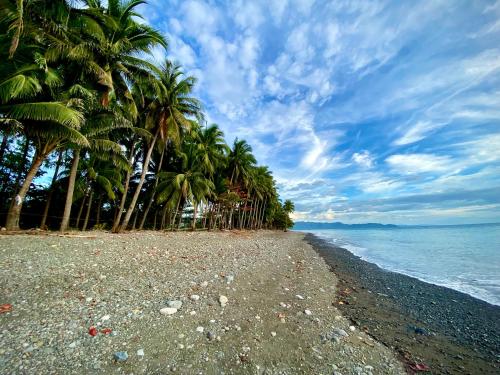 ビーチ, Villa Eliza Ecofarm in アンティーケ