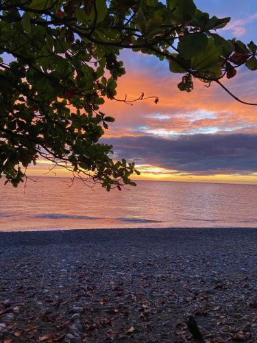 周辺案内, Villa Eliza Ecofarm in アンティーケ