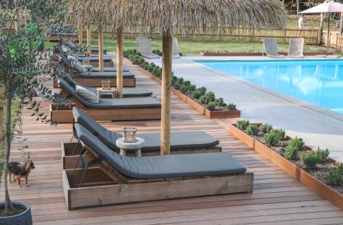 Agriturismo Rancone Lodges gîte à louer San Romano in Garfagnana