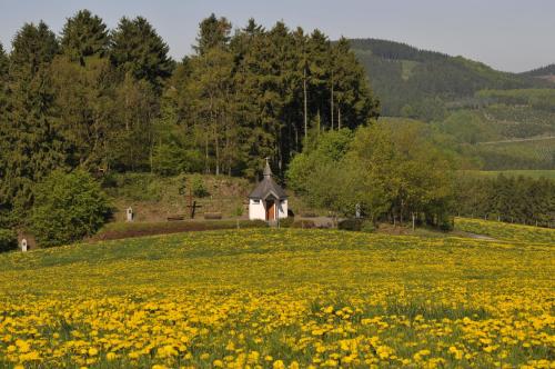 Wüllner's Landgasthof - image 14