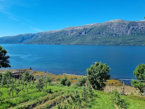 B&B Hesthamar - Leilighet v Hardangerfjorden - Bed and Breakfast Hesthamar