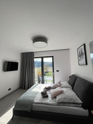 Apartament w Dolinie Sanu