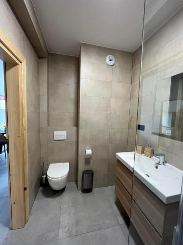Apartament w Dolinie Sanu