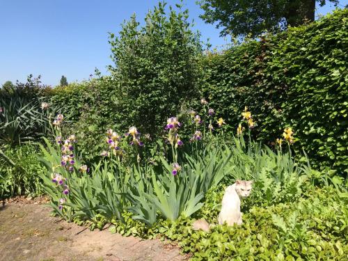  Vakantiehuisje Achterhoek in Aalten