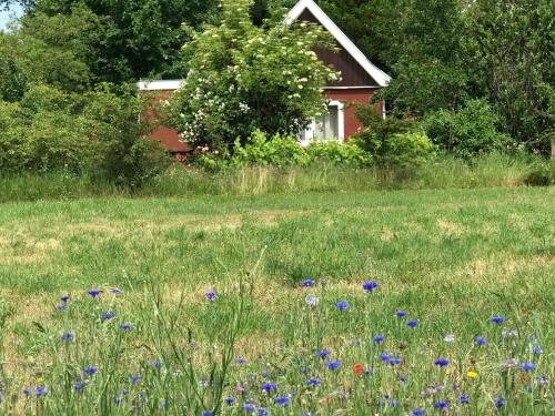 Vakantiehuisje Achterhoek