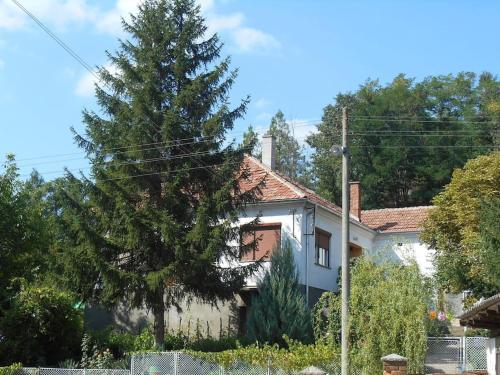 . Villa Ljubica