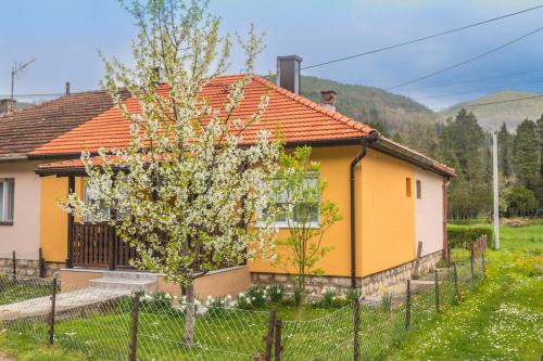 Apartman OLGA