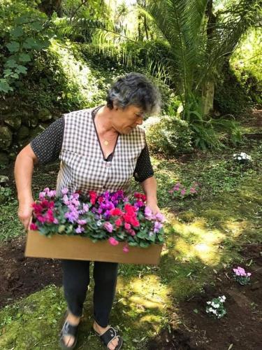  Quinta Santo Antonio Da Pedreira in Facha