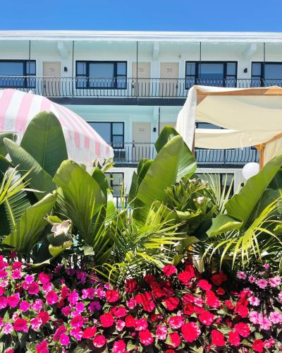 The Shore House in Wildwood, USA
