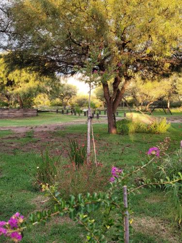 La Comarca, San Javier (photo 7)