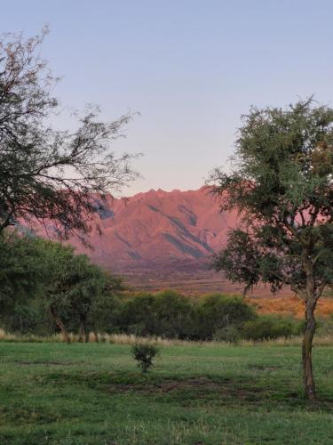 La Comarca, San Javier (photo 6)