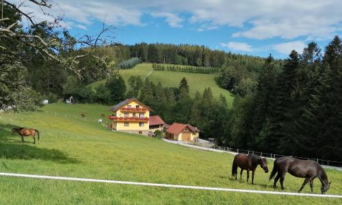 A környék, Urlaub am Bauernhof, Familie Kitting in Miesenbach