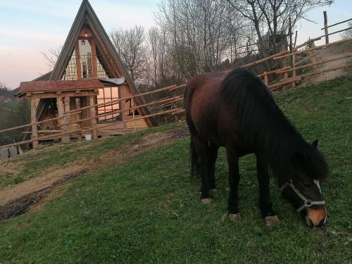 สภาพแวดล้อมโดยรอบ, Ranch at Geta in โมซีเรีย