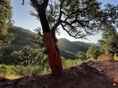 Casa rural rústica para parejas, familia o amigos a la montaña "EL COLMENAR"