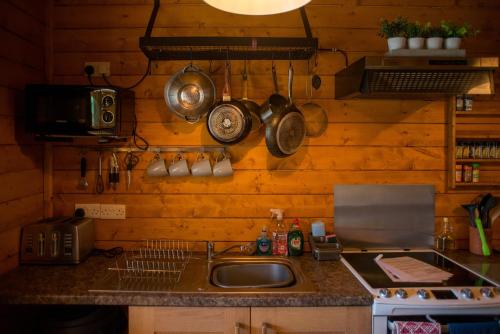 APPLE Cabin - Little Log Cabin in Wales in Bettws Cedewain