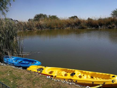 Dam'n Devine, Parys (foto 8)