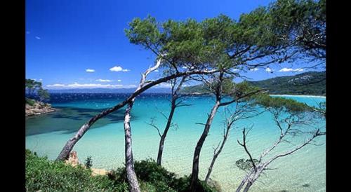 Petit coin de paradis les pieds dans l’eau - Location saisonnière - La Londe-les-Maures