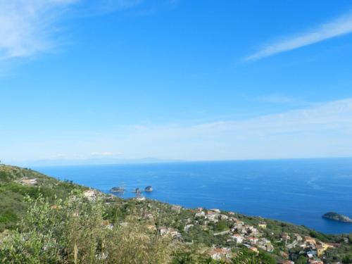 Agriturismo Fattoria Terranova - image 4