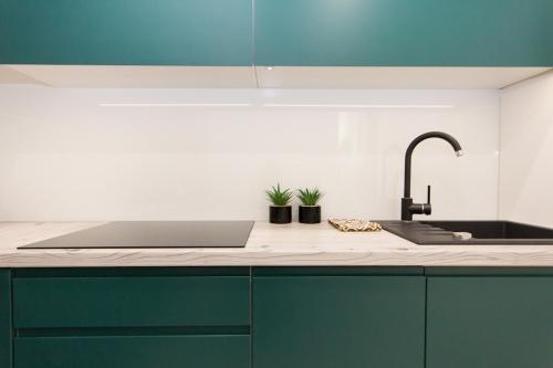 Cozinha, Apartament Forest in Swinoujscie City Center