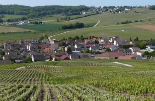 La Longère de Vin'Ay - Location saisonnière - Vinay