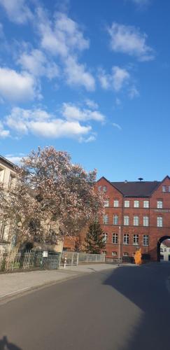 SPREE Hotel in der Altstadt