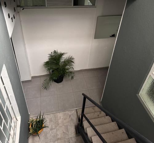 One-Bedroom Apartment image 5