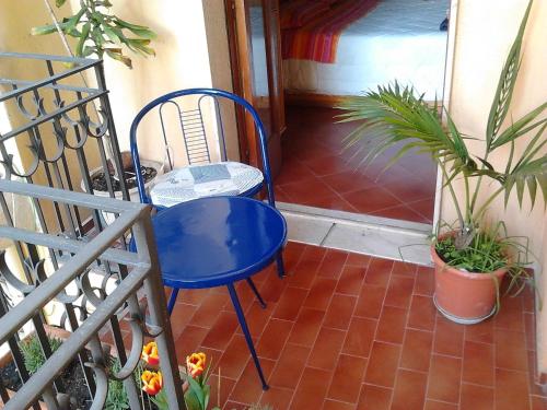 The Dolphins Guest House - main image