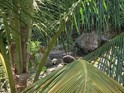 The Escape The Escape