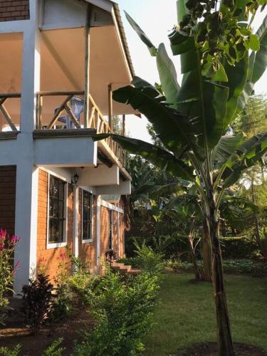 The Hondo Hondo House, Mto wa Mbu, Tanzania in Mto Wa Mbu