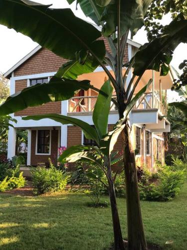The Hondo Hondo House, Mto wa Mbu, Tanzania in Mto Wa Mbu