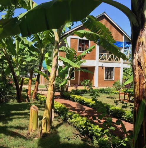 The Hondo Hondo House, Mto wa Mbu, Tanzania in Mto Wa Mbu