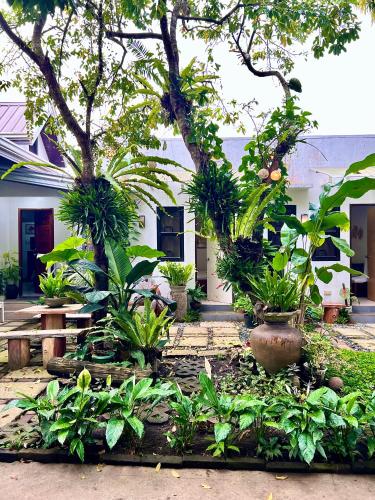 Auntie Gigi's Place