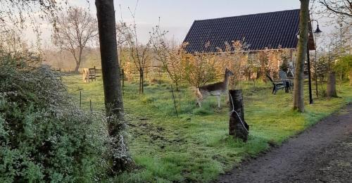  B&B Landgoed Sonneborghe in Kollumerzwaag