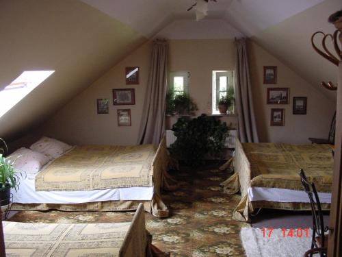 agroturystyka Orzechowe Wzgórze - image 7