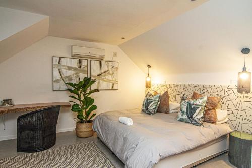 Shelbourne Boutique Lodge