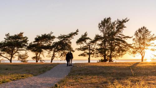 Stora Frögården