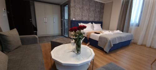 Park Hotel Viasport in Gorni Dabnik