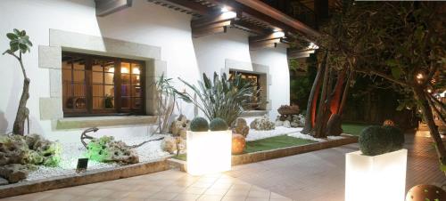 Hotel La Carolina - image 9