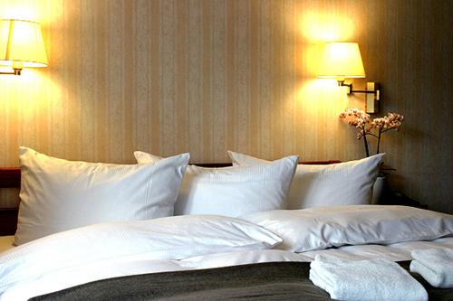 Hotel Doberaner Hof - image 7