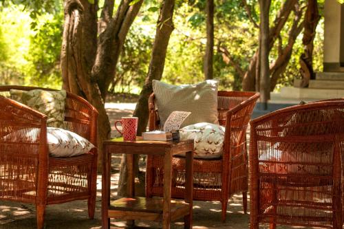 Palvelut, Msandile River Lodge in Kakumbi