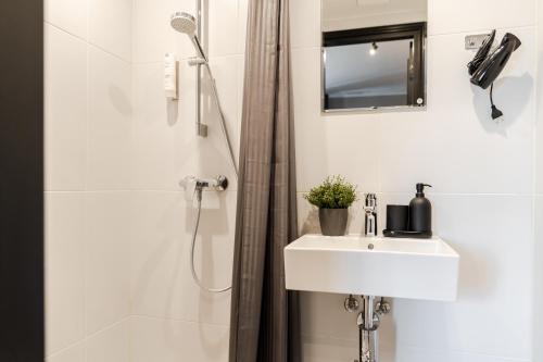 Dreamstay Avangard - shared Roof Terrace, High speed Wifi 200 Mbps & Gym, Tallinn (photo 10)