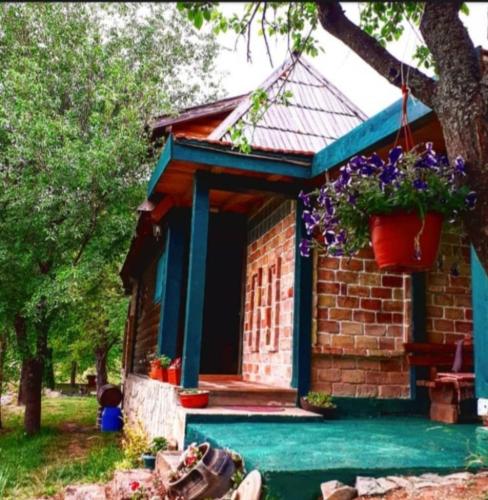 Chalet Etno Oaza near Airport