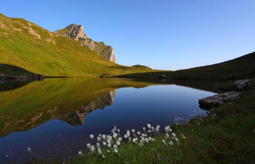 Buckelmühle - image 12
