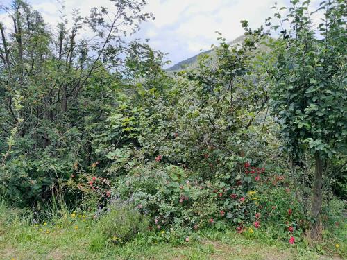 Einhornhaus in 塞默靈附近卡嵐