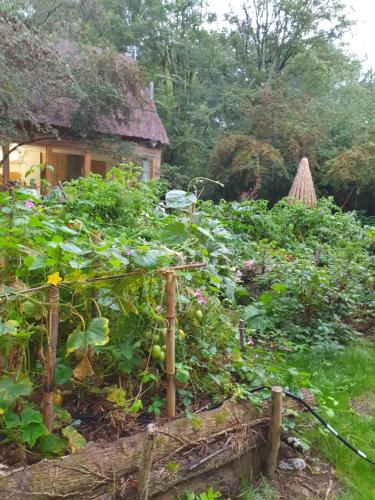 La Cabane - Location saisonnière - Choussy