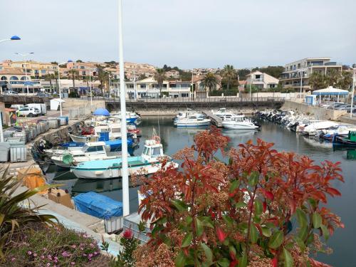 Le Mooréa 2 est à 5 min de l'hyper centre et plages