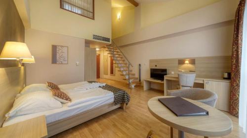 Iekārtas, Wellness Hotel Patince in Patince