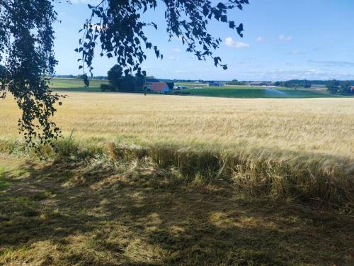 Gästhus på Österlen med närhet till strand & golf - Ystad