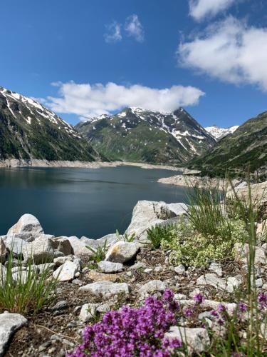 Perau in Gmünd, Gmünd in Kärnten (foto 6)