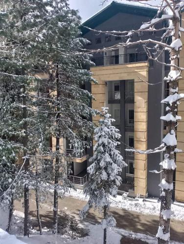 Exterior view, Bellevue Luxury Apartments Nathia Gali in Nathia Gali